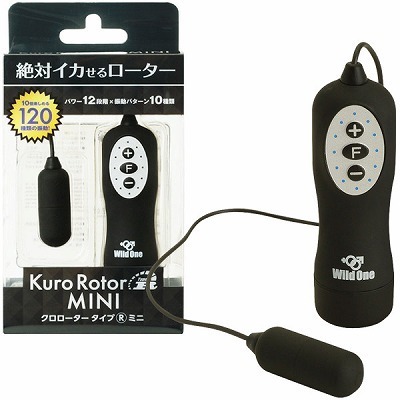 �N�����[�^�[�@�^�C�v�q�@�l�h�m�h