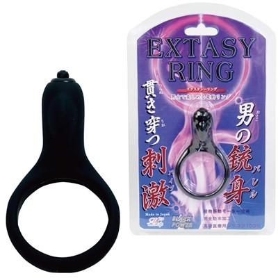 �G�N�X�^�V�[�����O