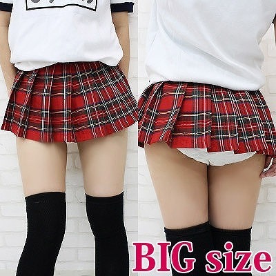 ���~�j�`�F�b�N�X�J�[�g�@�a�h�f