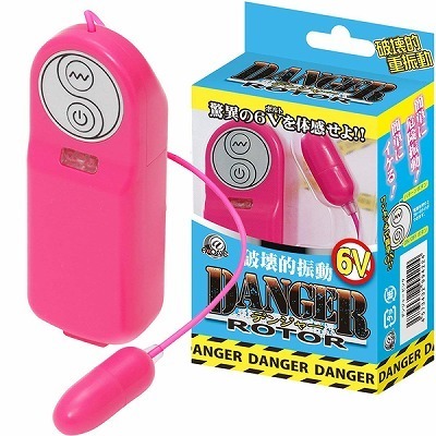 �f���W���[���[�^�[�@�i�s���N�j