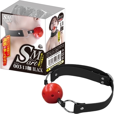 �r�l�������i�X�}�[�g�j�@�R�@��