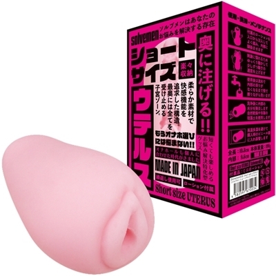 �r���������@���������@�t�s�d�q�t�r�i�V���[�g�T�C�Y�@�E�e���X�j