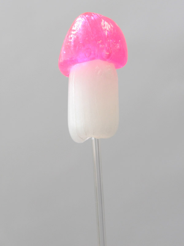 �Ղ�������