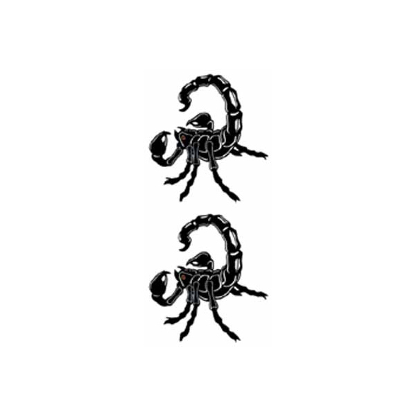 �^�g�D�[�V�[���@�T�\��