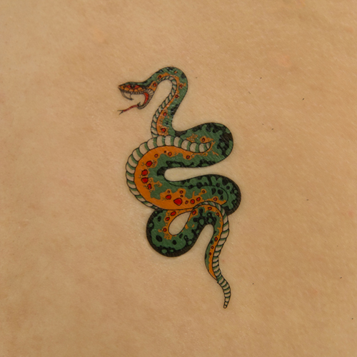 �^�g�D�[�V�[���@����