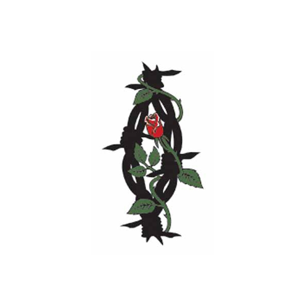 �^�g�D�[�V�[���@�S��Ԃ��K�N