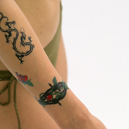 �^�g�D�[�V�[���@�S��Ԃ��K�N