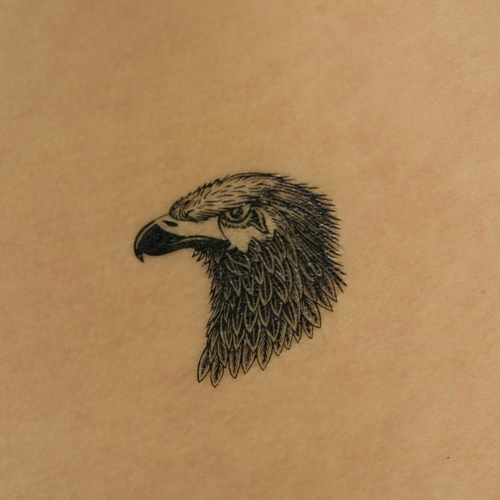 �^�g�D�[�V�[���@�h�i���j