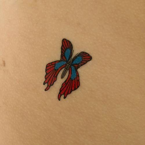 �^�g�D�[�V�[���@�ԗg�H