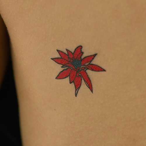 �^�g�D�[�V�[���@�|�C���Z�`�A