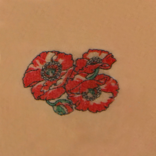 �^�g�D�[�V�[���@�P�V�̉�