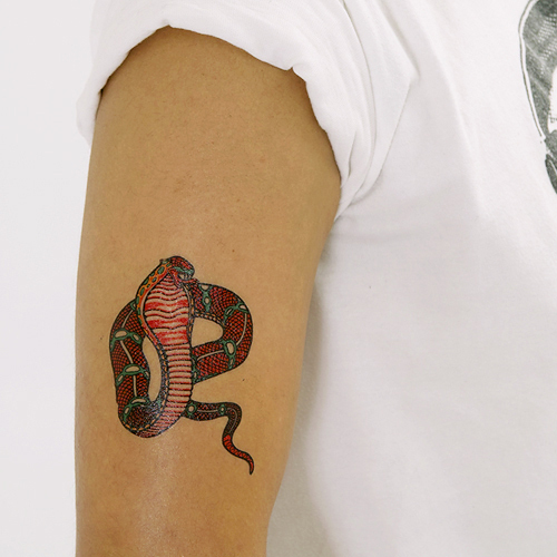 �^�g�D�[�V�[���@�R�u��