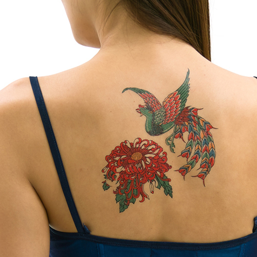 �^�g�D�[�V�[���@�t�F�j�b�N�X