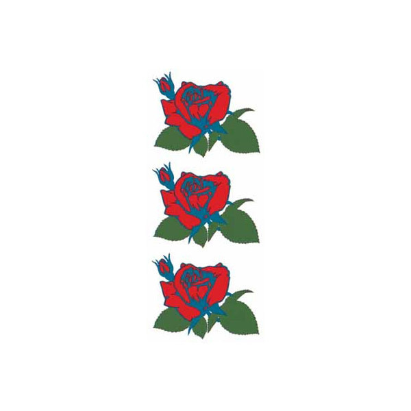 �^�g�D�[�V�[���@���K�N