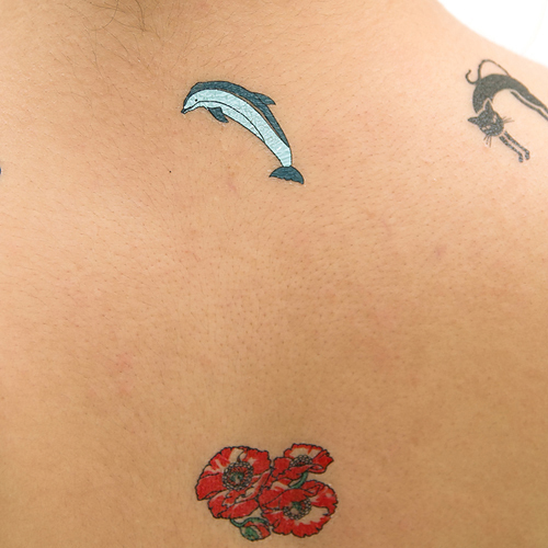 �^�g�D�[�V�[���@�P�V