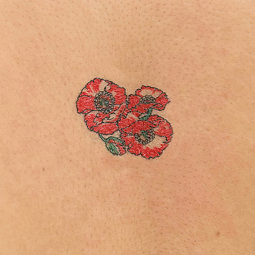 �^�g�D�[�V�[���@�P�V