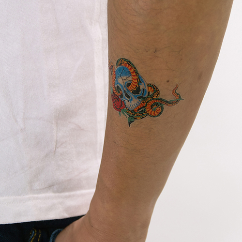 �^�g�D�[�V�[���@�ւƃh�N��