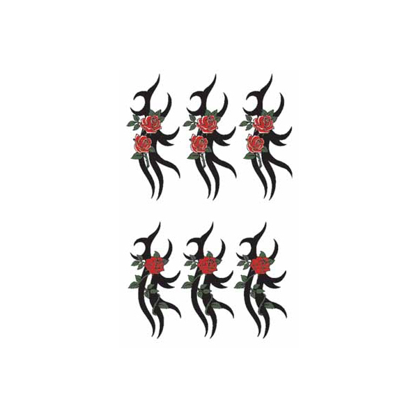 �^�g�D�[�V�[���@���K�N�E�g���C�o��