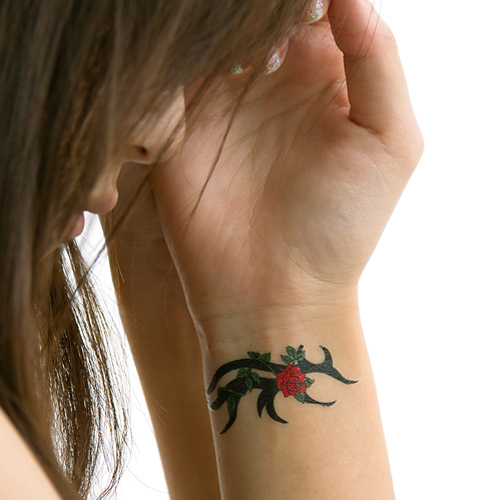 �^�g�D�[�V�[���@���K�N�E�g���C�o��