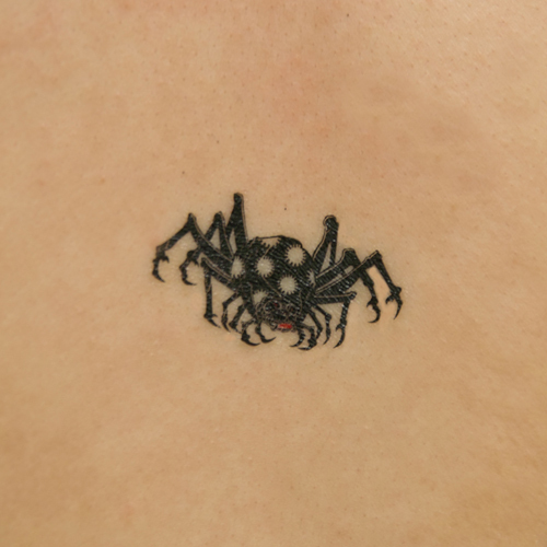 �^�g�D�[�V�[���@���w�