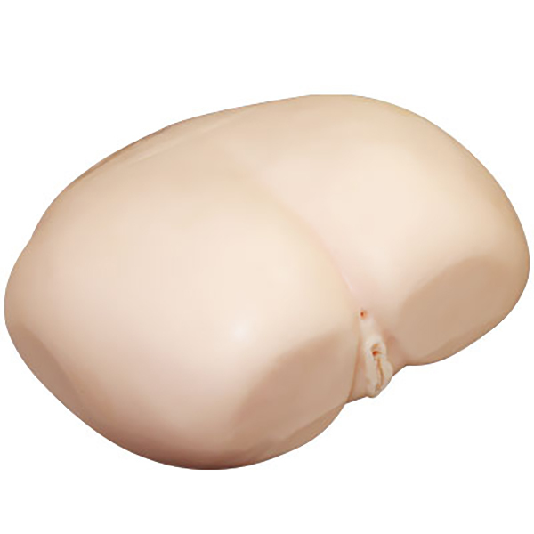 �ɏ㕑�̂��K