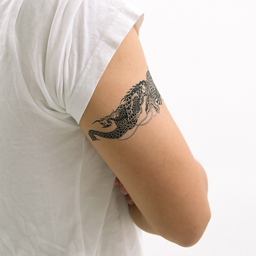 �^�g�D�[�V�[���@�o����