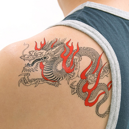 �^�g�D�[�V�[���@�Ή���