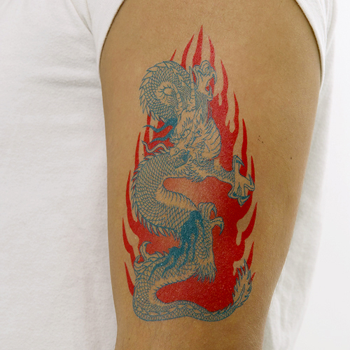 �^�g�D�[�V�[���@�Ή��h���S���E��