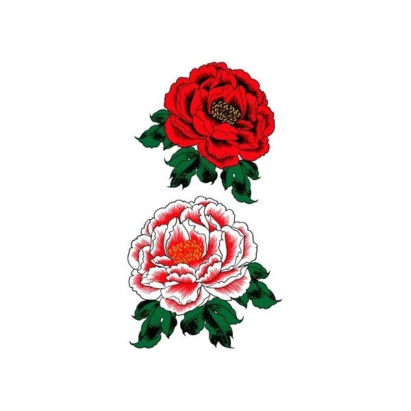 �^�g�D�[�V�[���@��^�E�ԉ��O