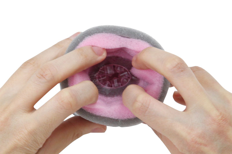 �v���V���X���u