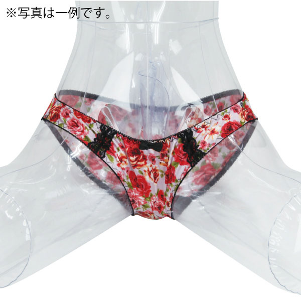 �ڂ��̃I�i���[��p�@�i�ʐ^���g�p�ς݃p���e�B�j