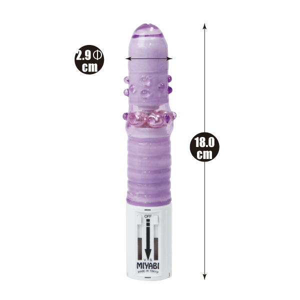 �C�{�}���Ԓ��@�i�s���N�j