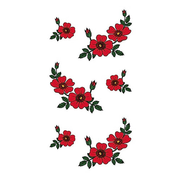 �^�g�D�[�V�[���@��o��