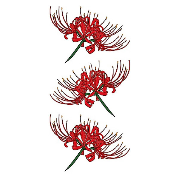 �^�g�D�[�V�[���@�֎썹��