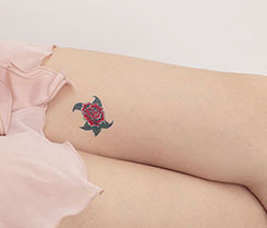 �^�g�D�[�V�[���@�K�N�@�g���C�u�@�Q