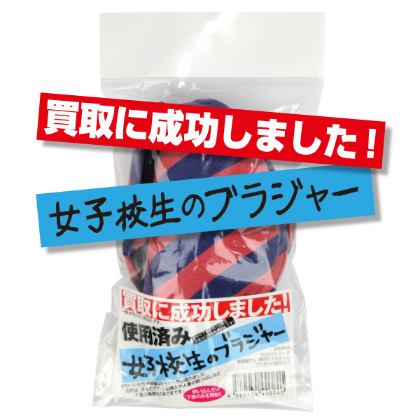 ����ɐ������܂����I���q�Z���̃u���W���[