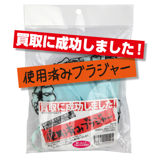 ����ɐ������܂����I�g�p�ς݃u���W���[