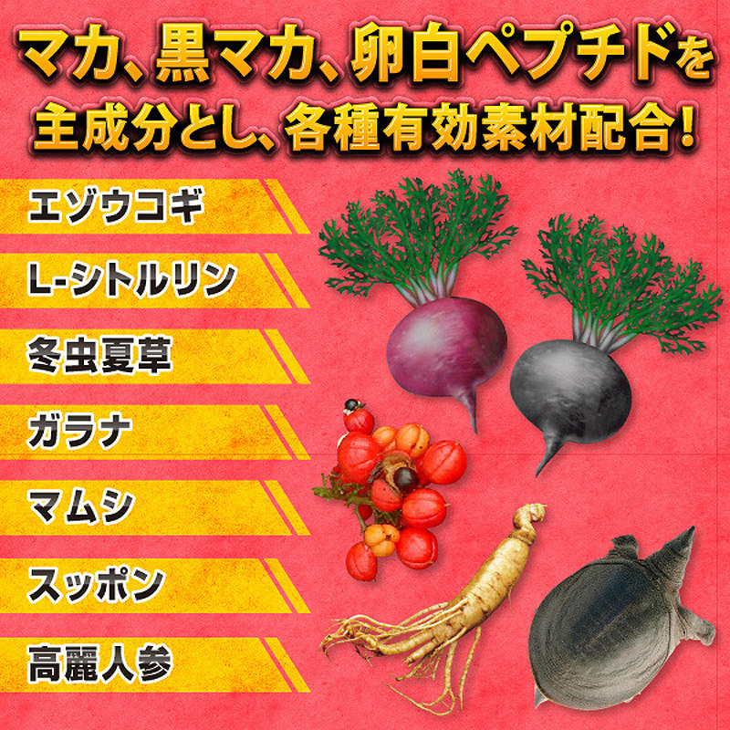 �}�J�E�}�b�N�X�@���K�Q�O�O�O�O