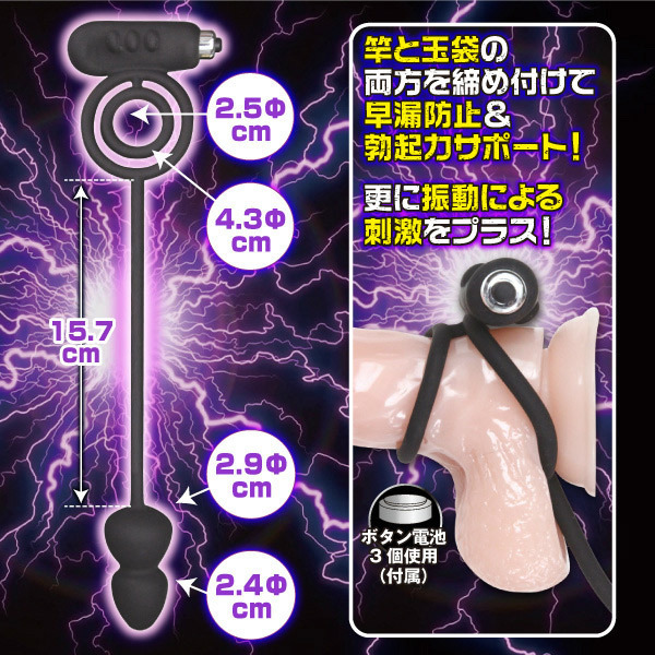 �o�C�u���[�V���������O�@���������@�A�i���v���O�@�i���g���j