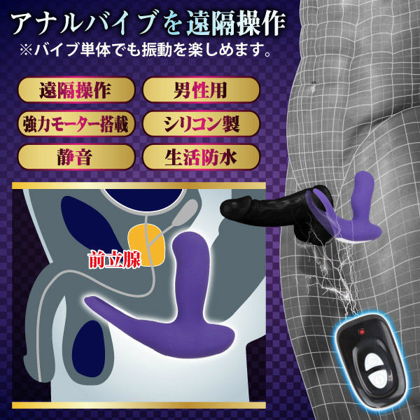 �V�[�N���b�g�K�[�f���@�i�o�b�N�A�^�b�N�j