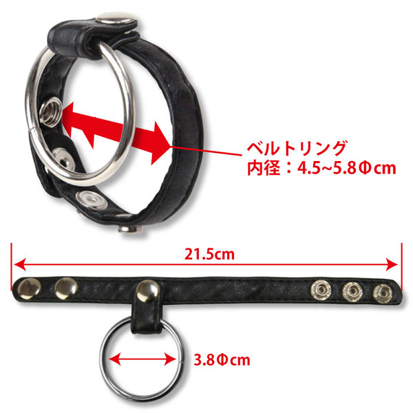 �e�����������@�s���������@�i�x���g�R�b�N�����O�j