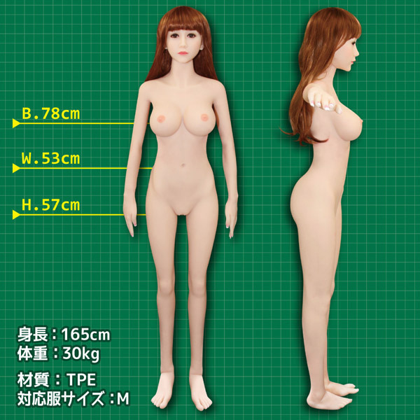 ����i�����j�@�P�U�T�����@���A���h�[��