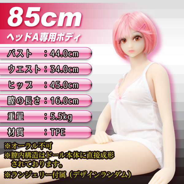 �Ղ��h�[���@�i�W�T�����@�w�b�h�`�j