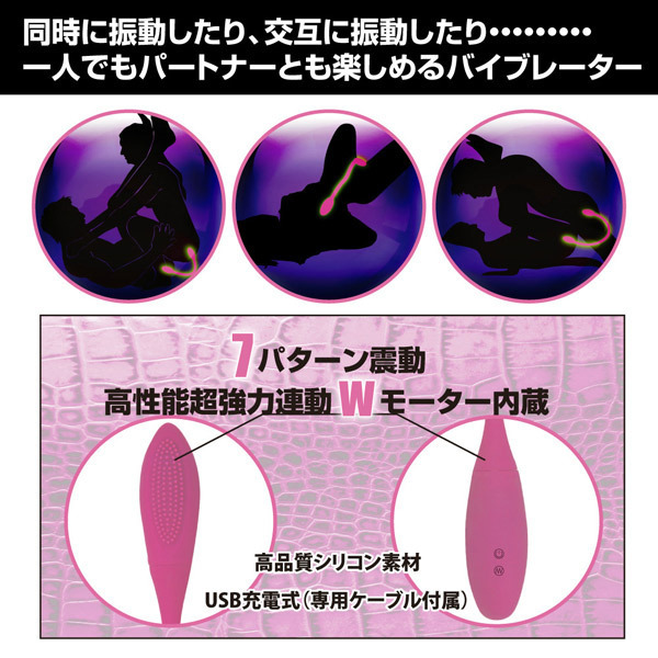 �v���e�B���u�@�i�X�l�[�L�[�o�C�u�j