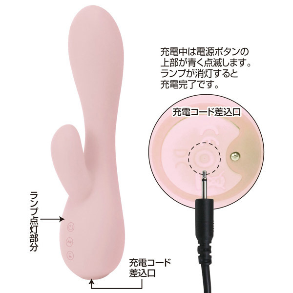 �v���e�B���u�@�i�G�A�v���b�V���[�o�C�u���[�^�[�j