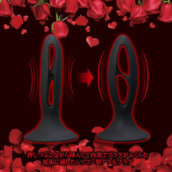 �y�������@�A�i���v���O�@�i�`�j