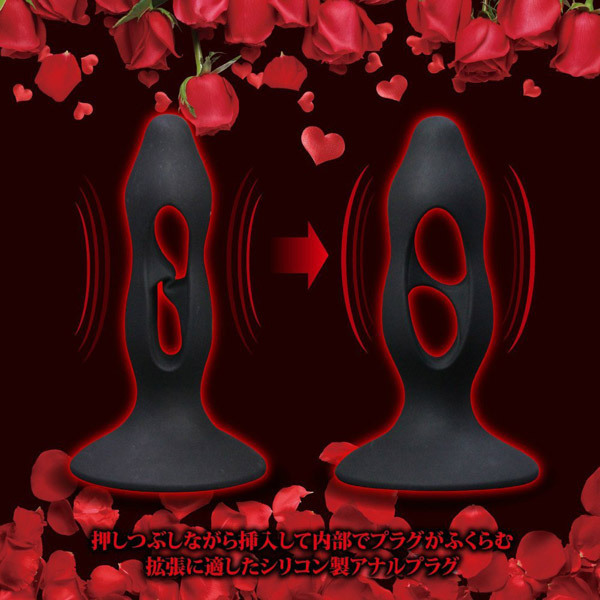 �y�������@�A�i���v���O�@�i�a�j