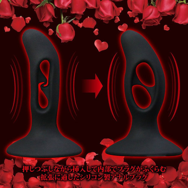 �y�������@�A�i���v���O�@�i�c�j