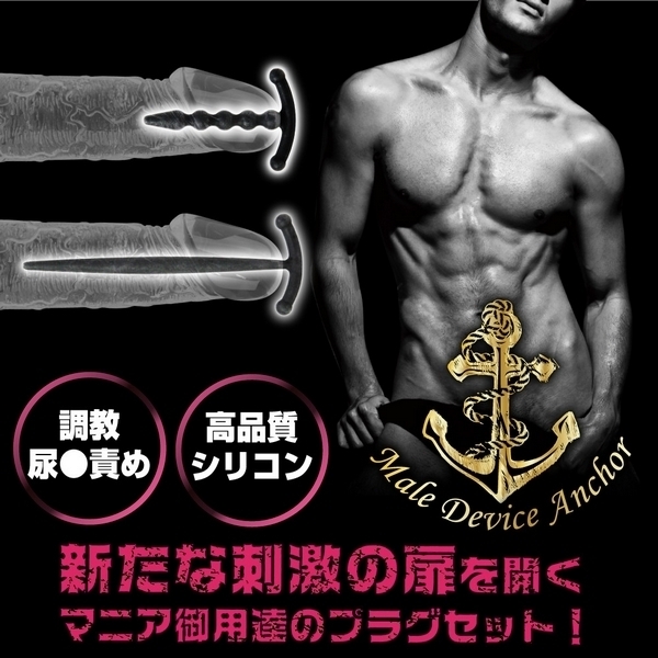 ���C���f�o�C�X�A���J�[�@�i�r�M�i�[�j