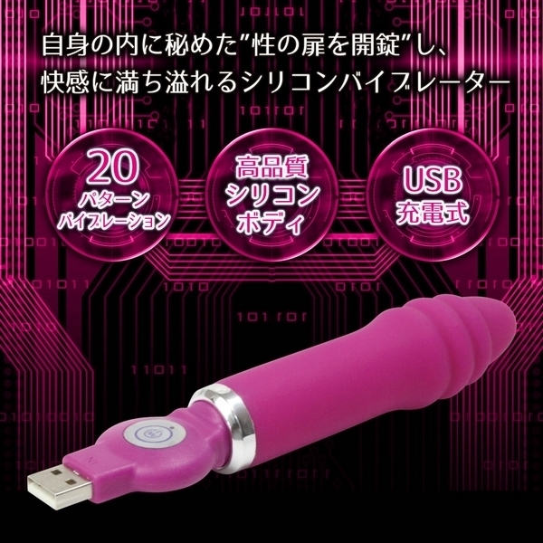 UNLOCKER ANUS PICK(エイナスピック)